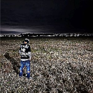 Meet your Posher, Kingston